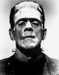 Mi amigo Frankenstein
